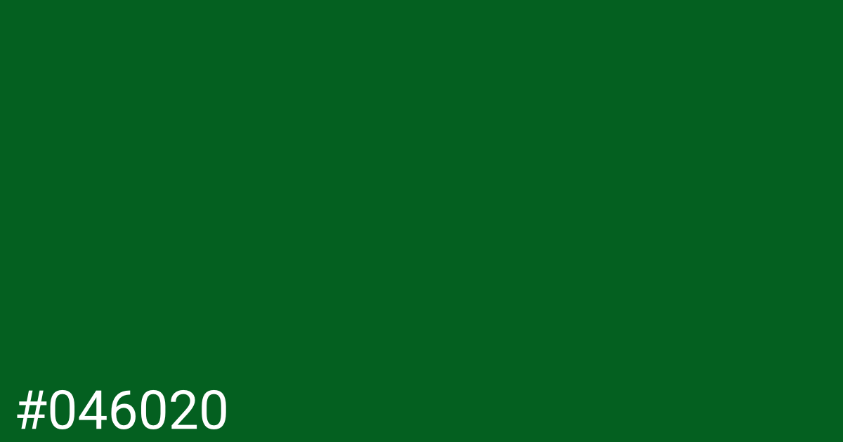 Hex color #046020 graphic