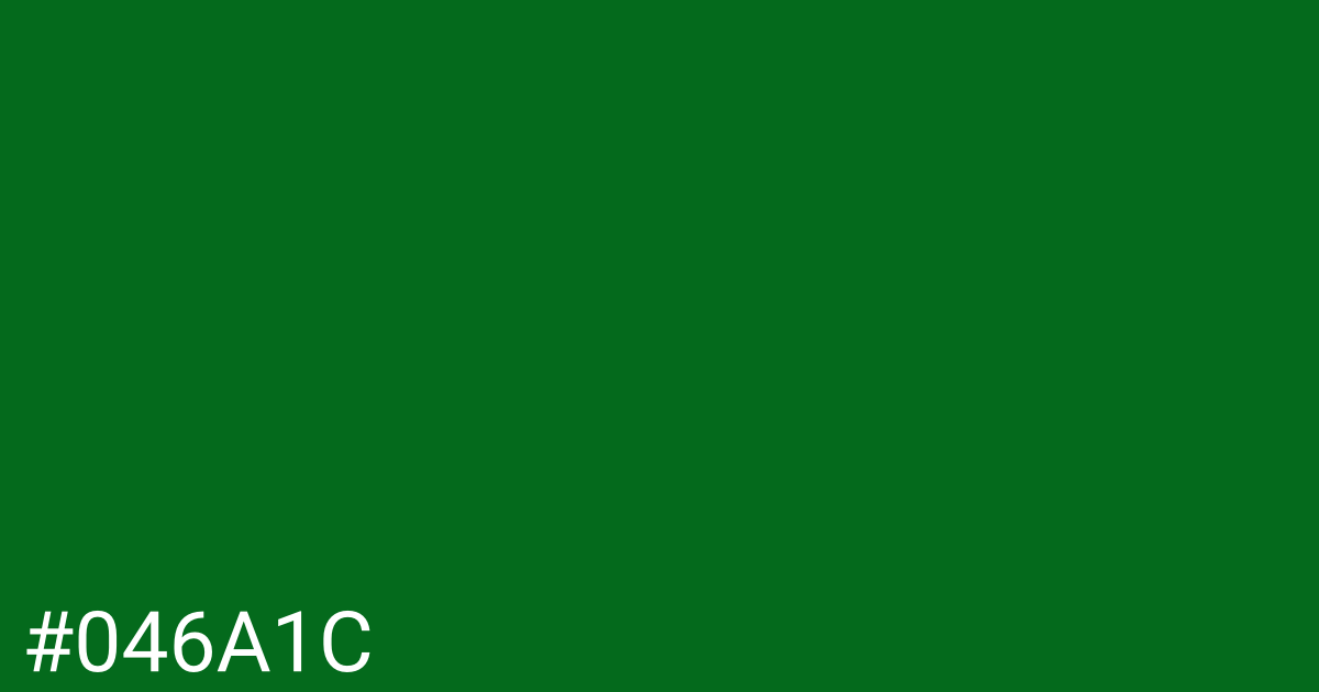 Hex color #046a1c graphic