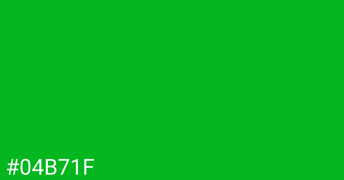 Hex color #04b71f graphic