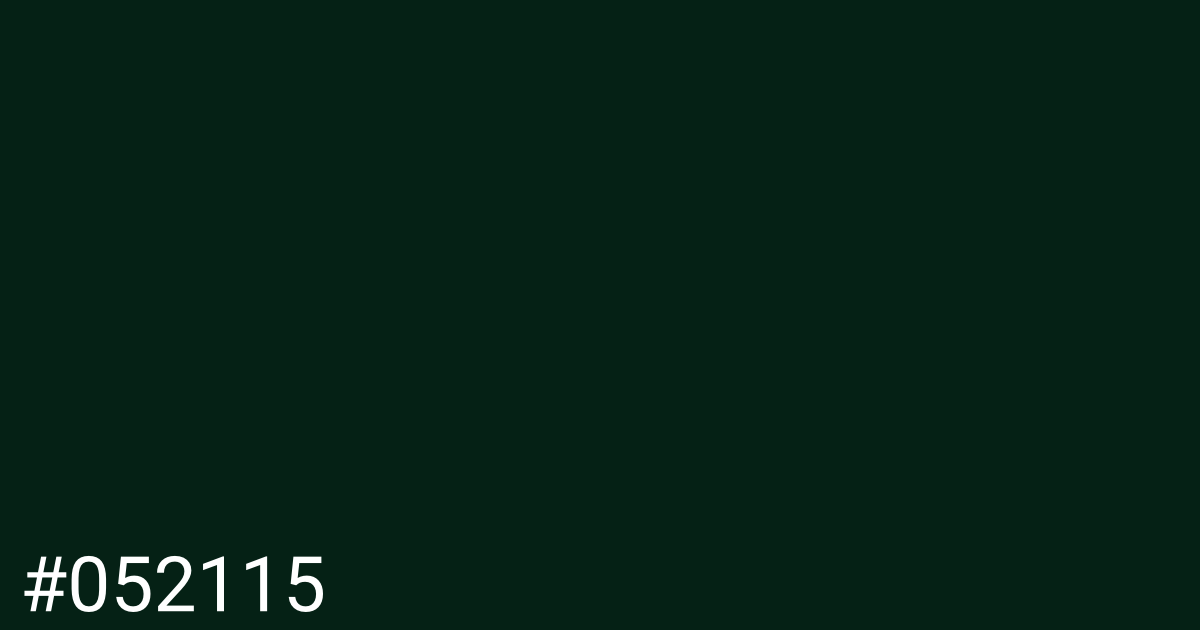 Hex color #052115 graphic
