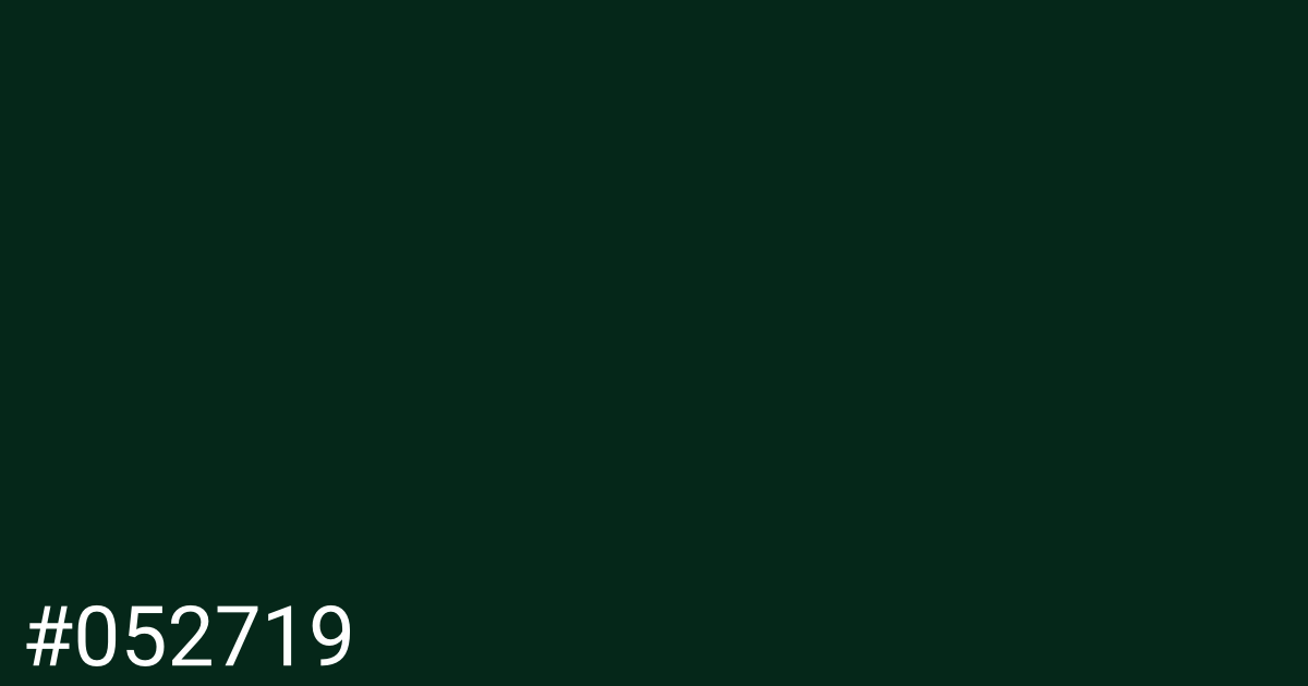 Hex color #052719 graphic