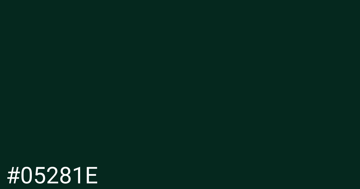 Hex color #05281e graphic
