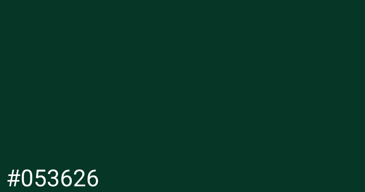 Hex color #053626 graphic