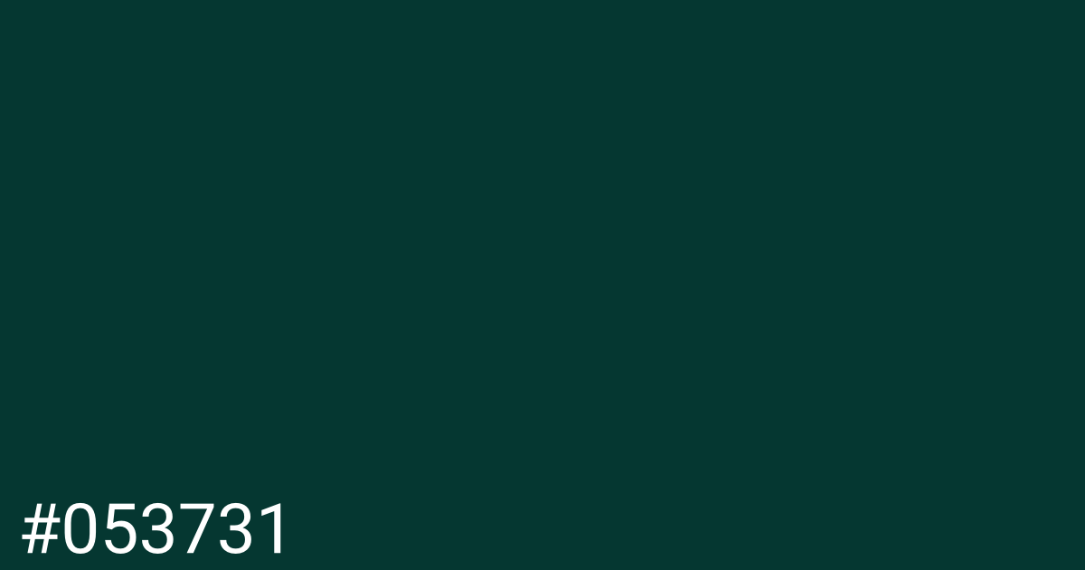 Hex color #053731 graphic