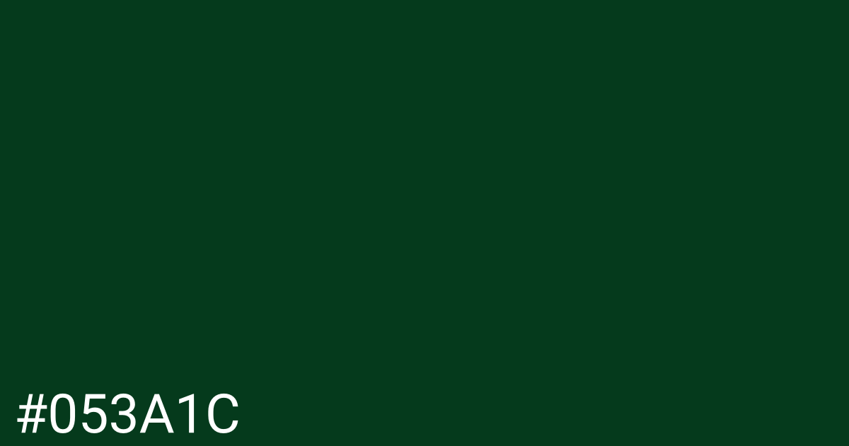 Hex color #053a1c graphic