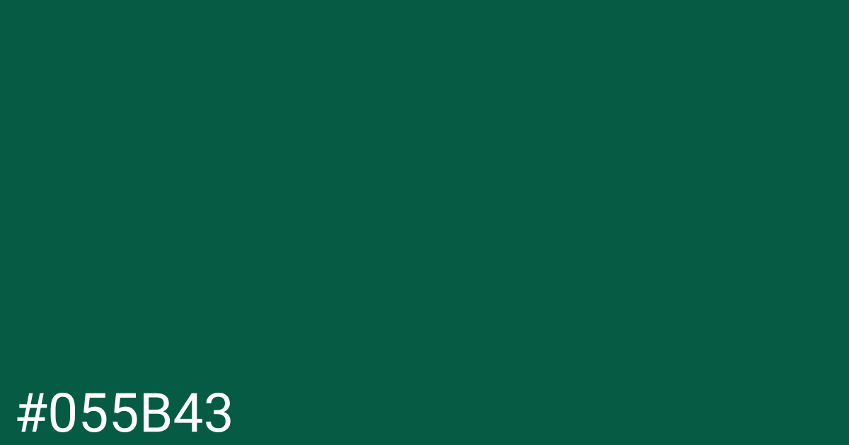 Hex color #055b43 graphic