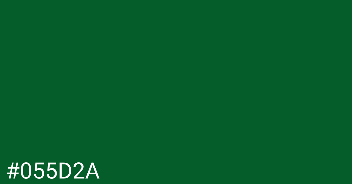 Hex color #055d2a graphic