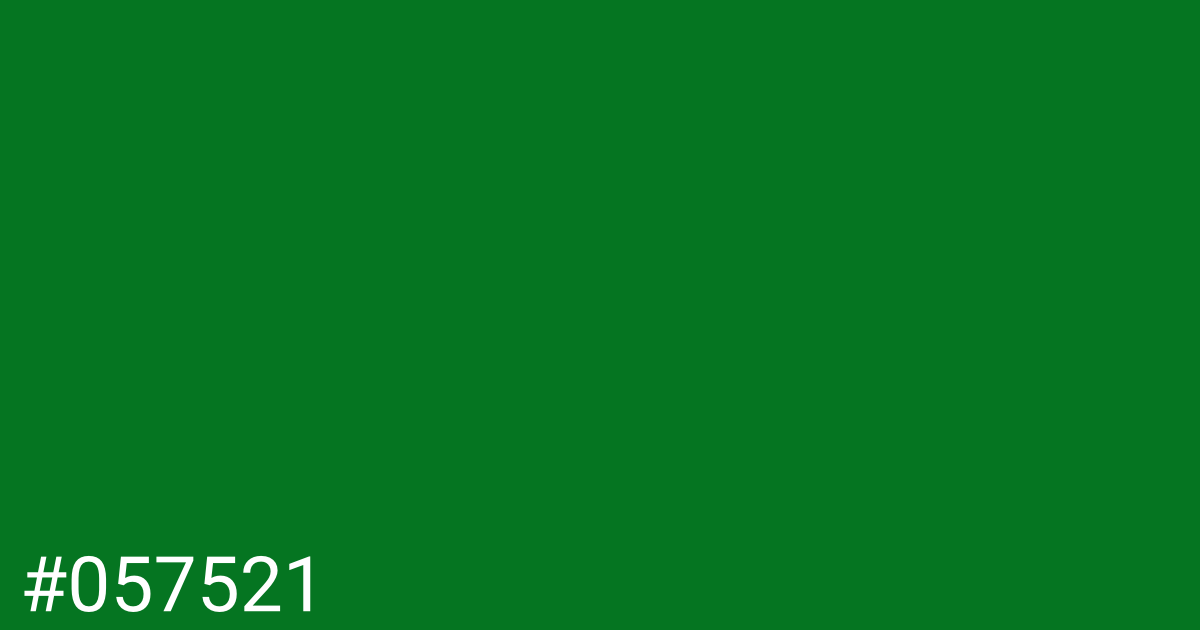 Hex color #057521 graphic