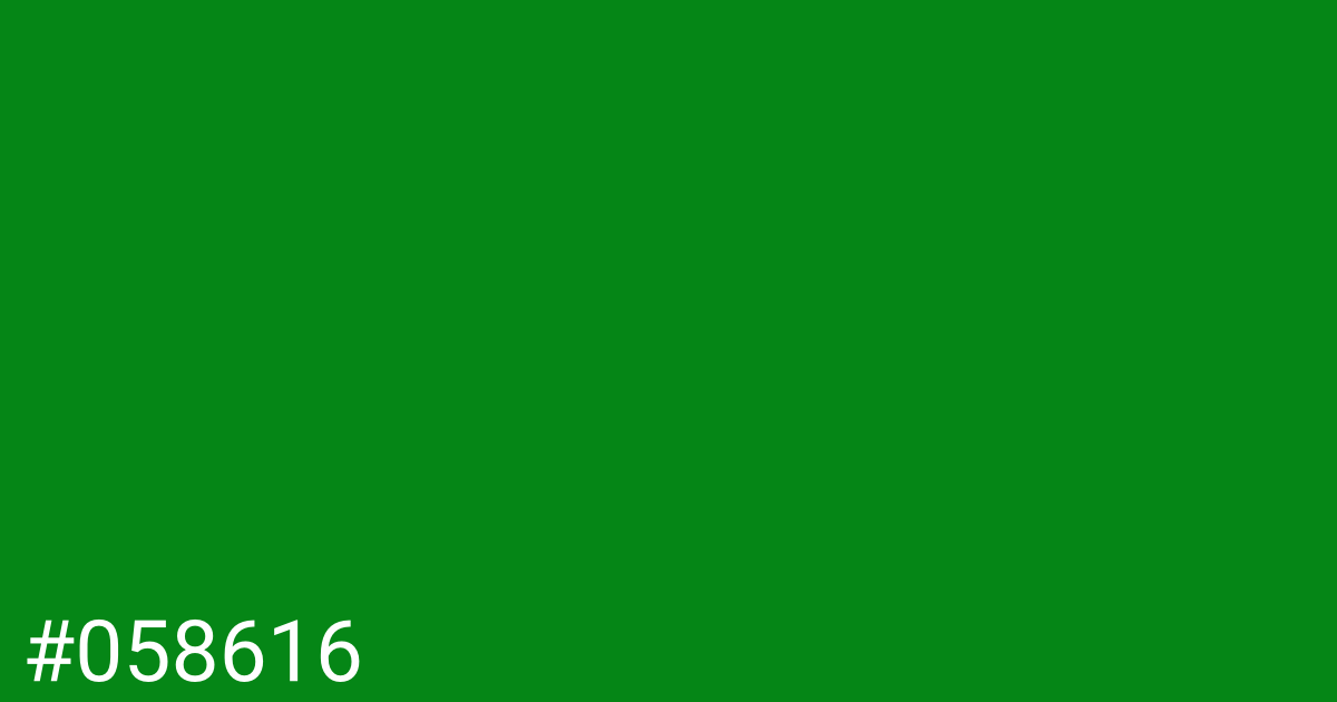 Hex color #058616 graphic