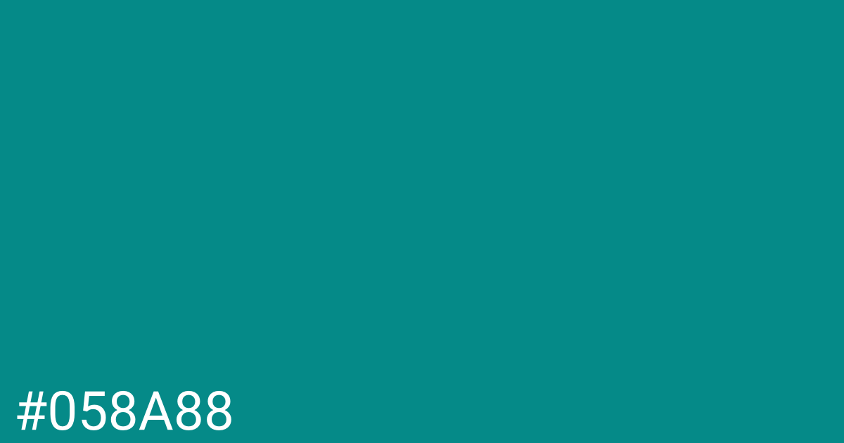 Hex color #058a88 graphic