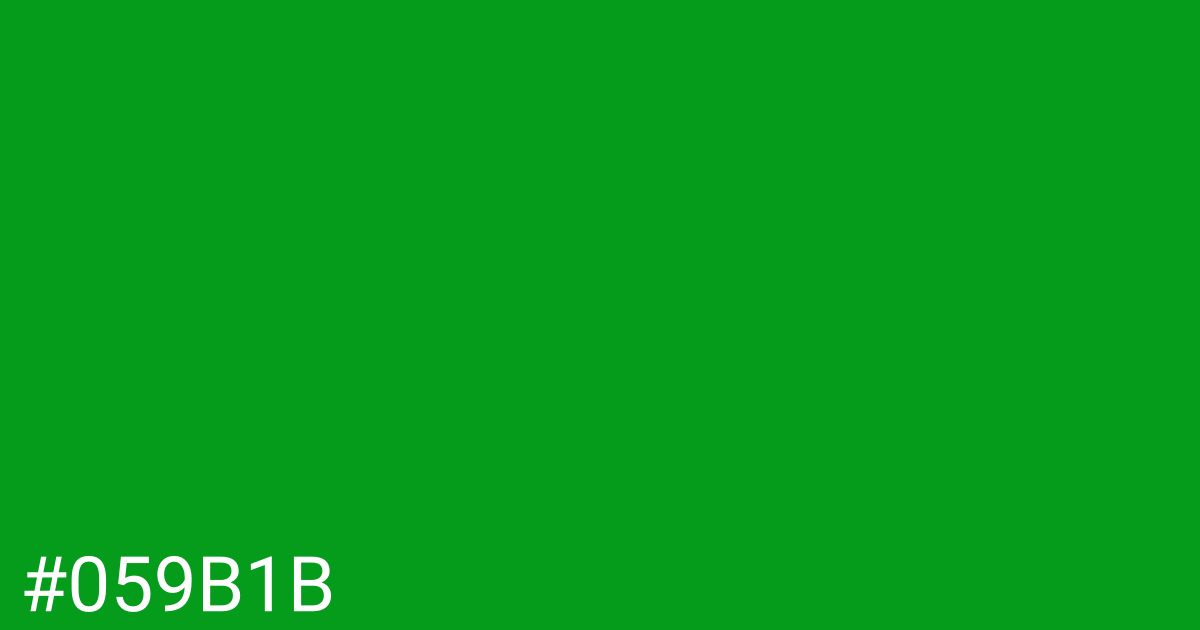 Hex color #059b1b graphic