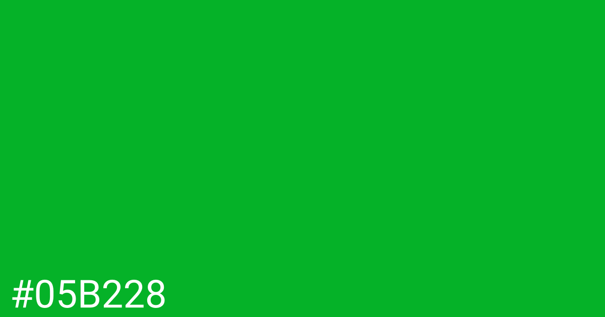 Hex color #05b228 graphic