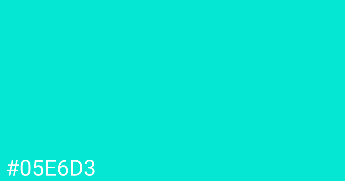 Hex color #05e6d3 graphic