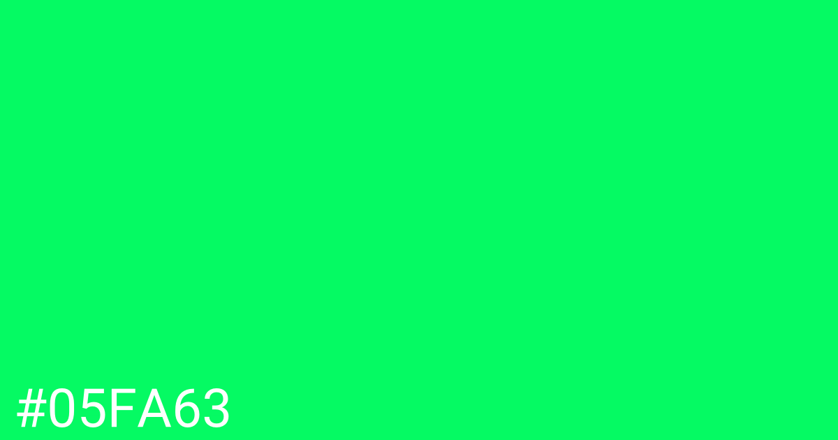 Hex color #05fa63 graphic