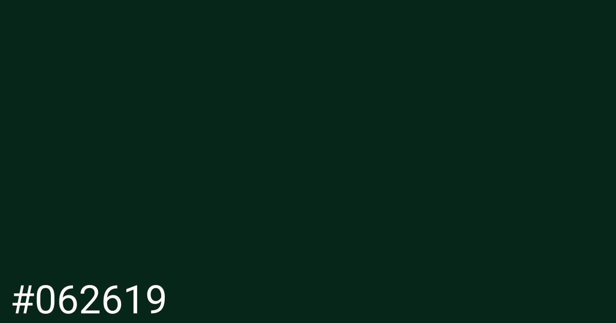 Hex color #062619 graphic