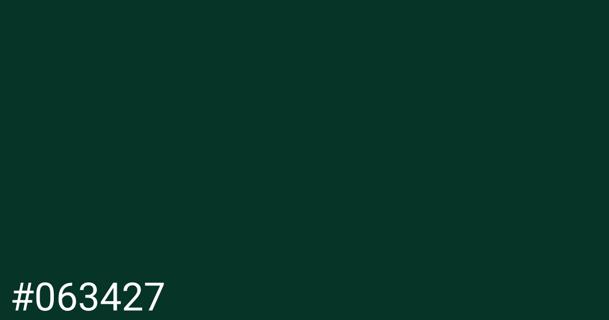 Hex color #063427 graphic