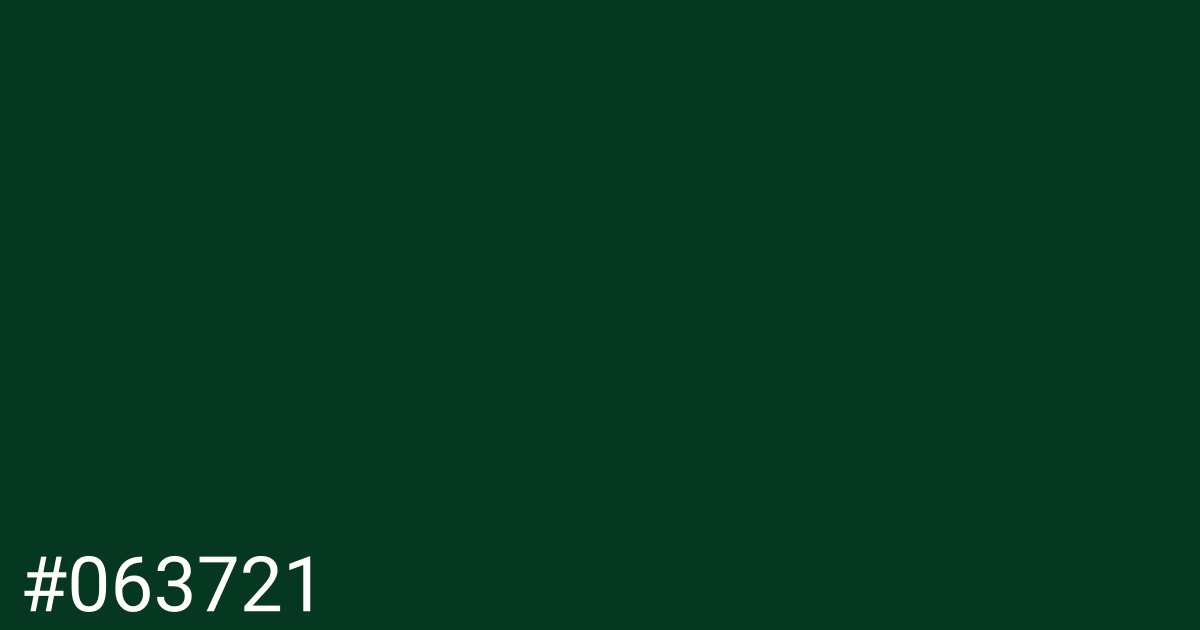 Hex color #063721 graphic