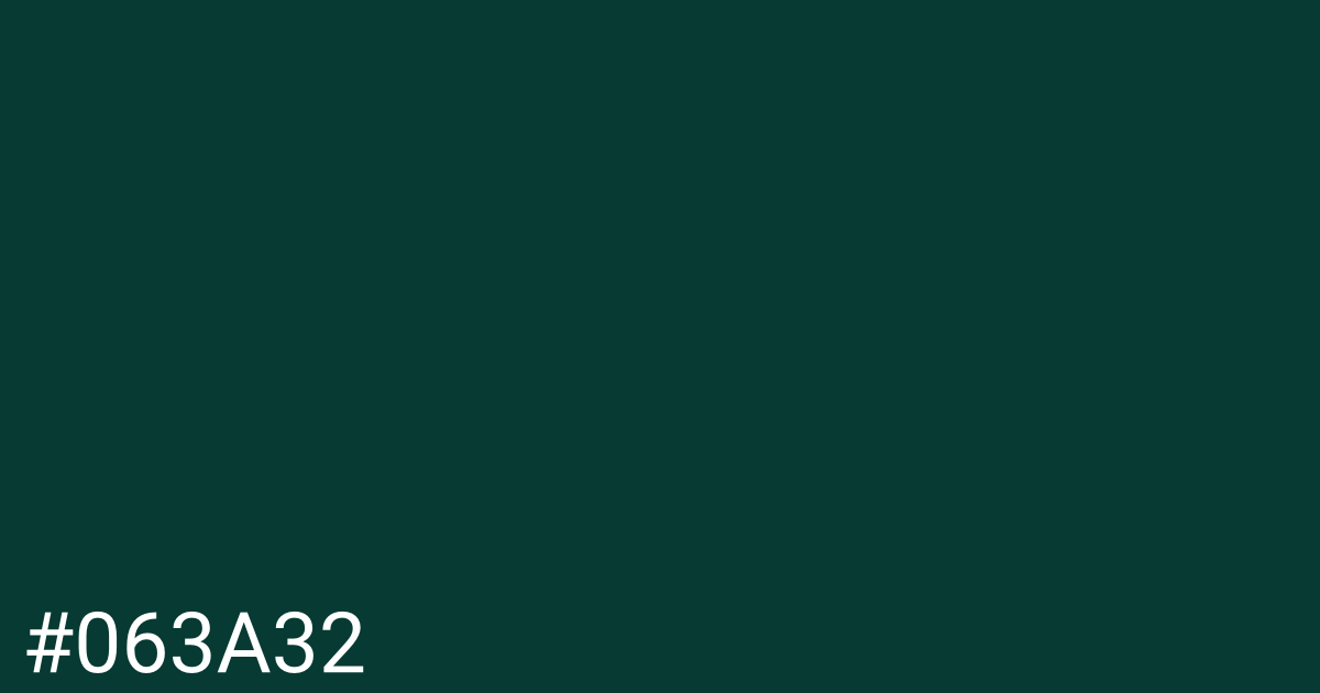 Hex color #063a32 graphic