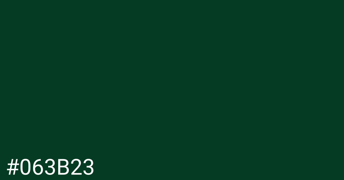 Hex color #063b23 graphic