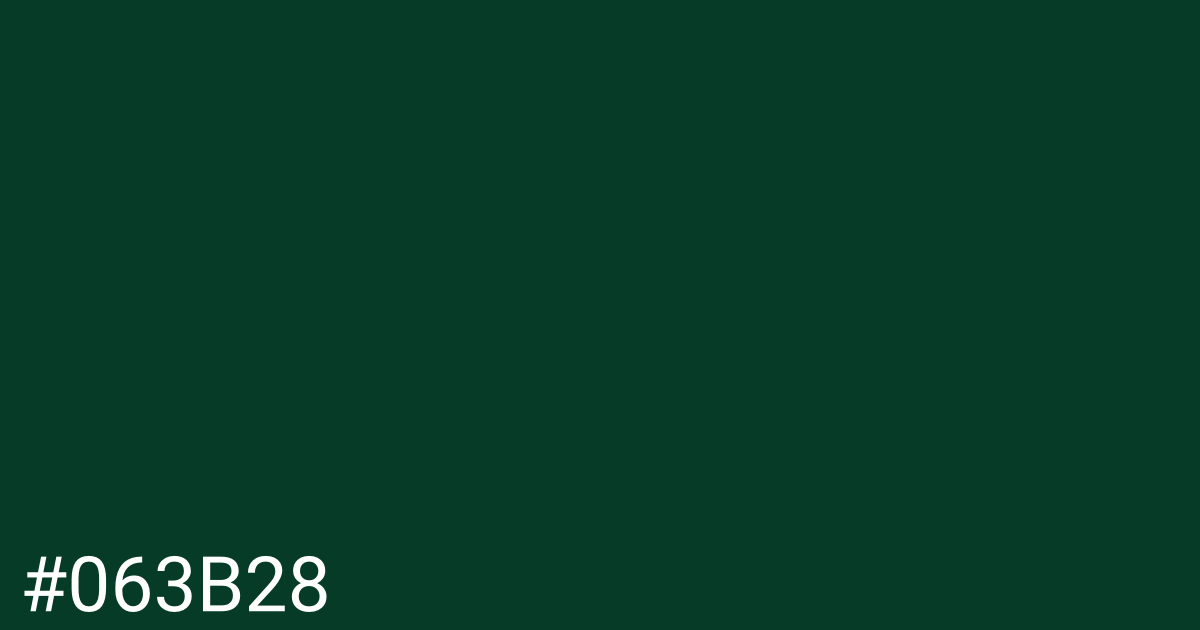 Hex color #063b28 graphic