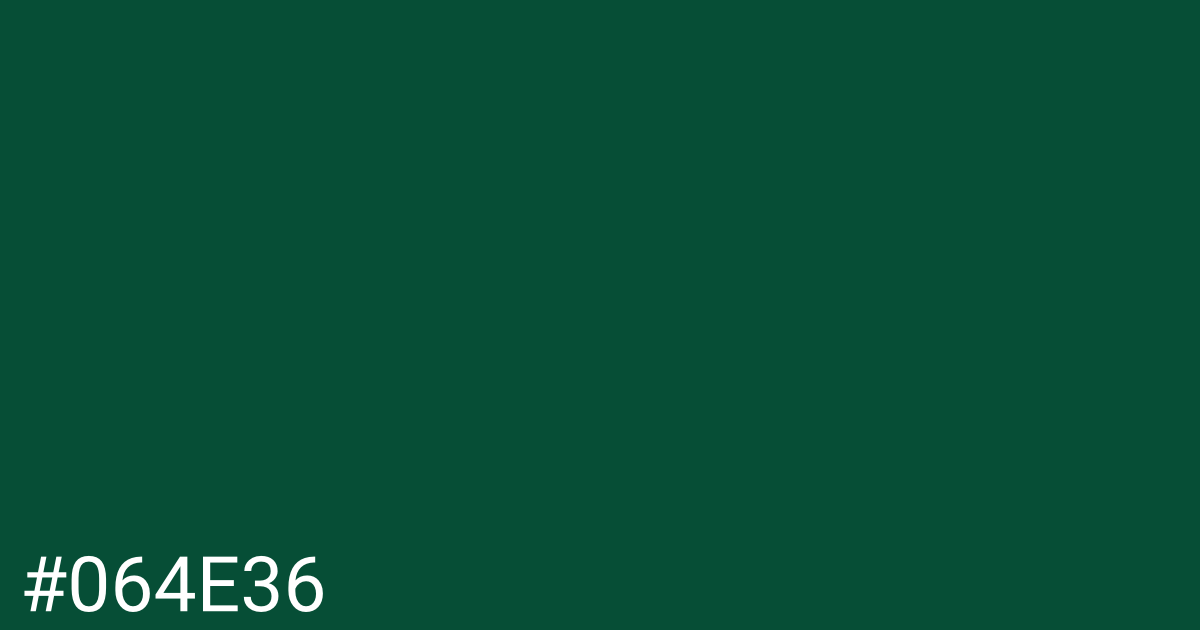 Hex color #064e36 graphic
