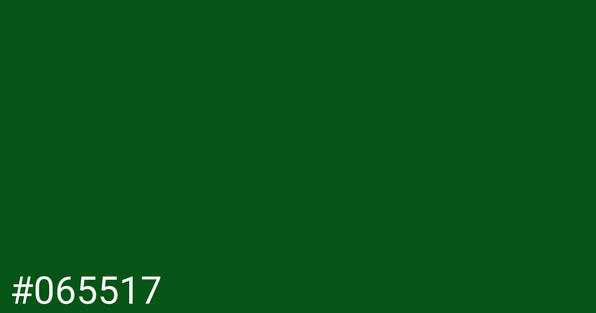 Hex color #065517 graphic