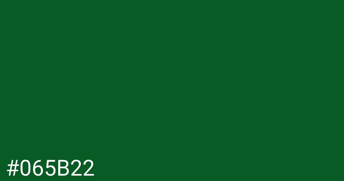 Hex color #065b22 graphic