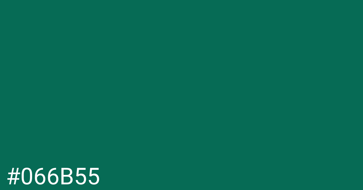 Hex color #066b55 graphic