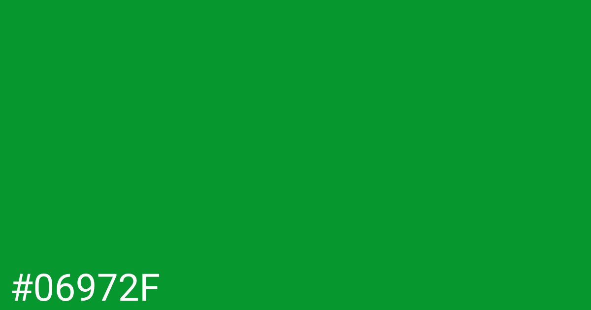Hex color #06972f graphic