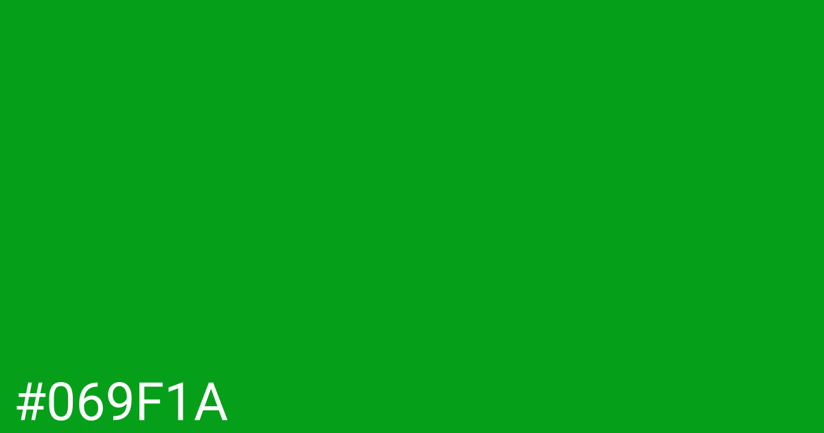 Hex color #069f1a graphic