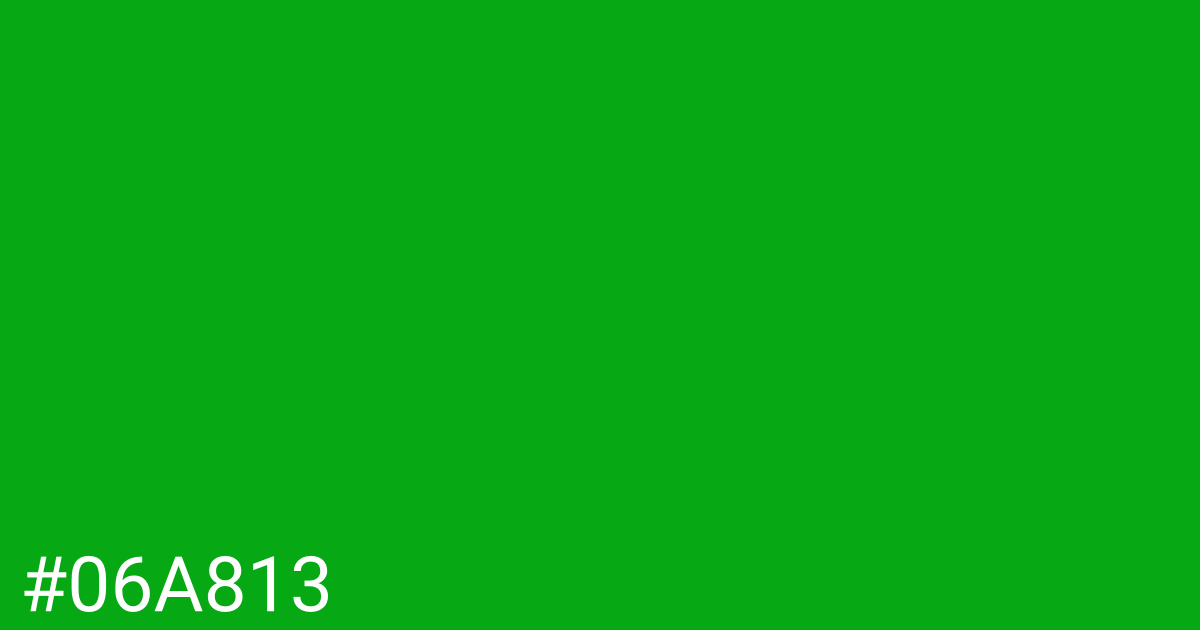 Hex color #06a813 graphic