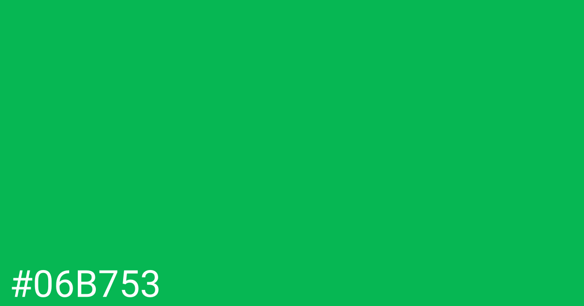 Hex color #06b753 graphic