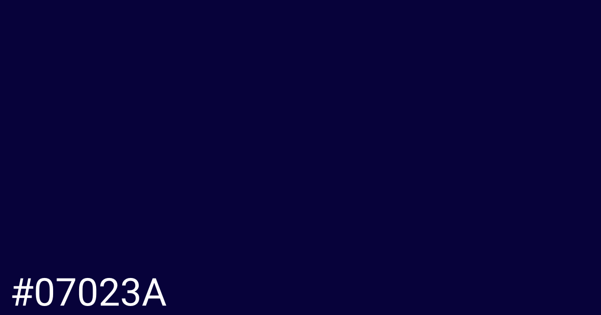 Hex color #07023a graphic