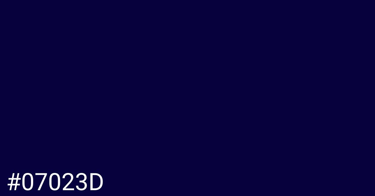 Hex color #07023d graphic