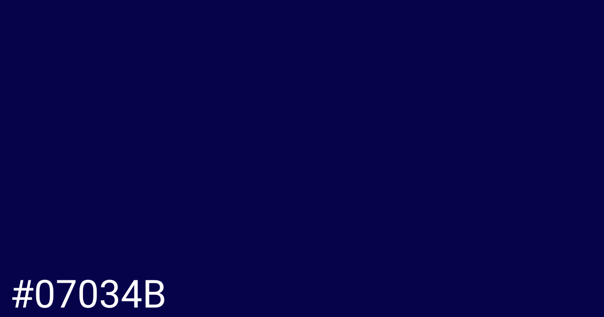 Hex color #07034b graphic