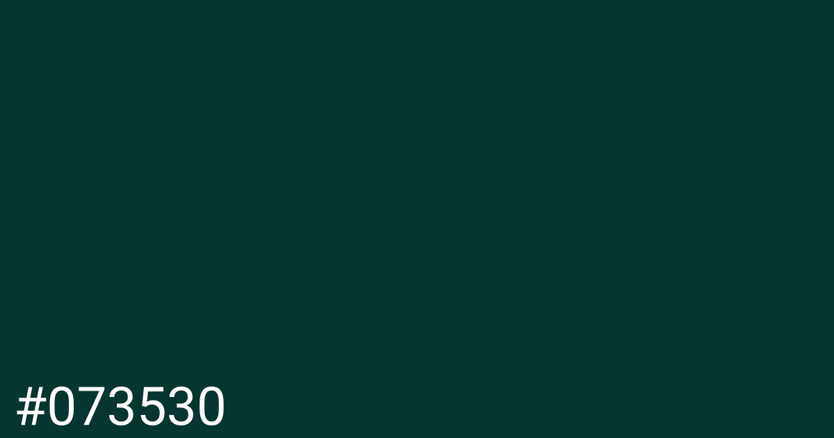 Hex color #073530 graphic