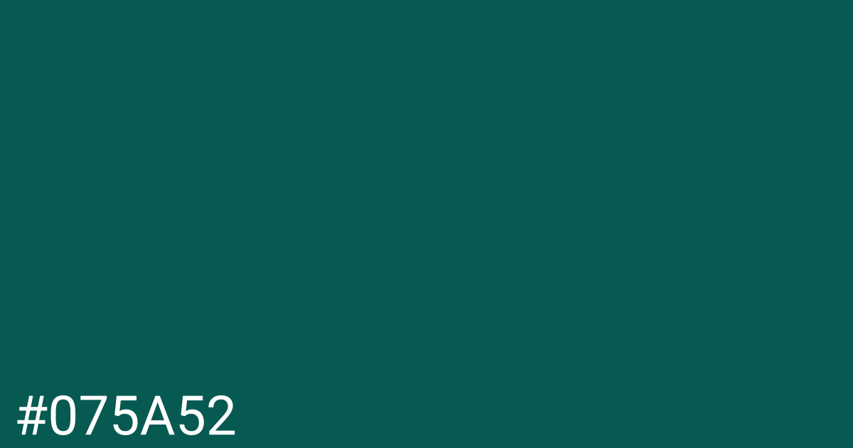 Hex color #075a52 graphic