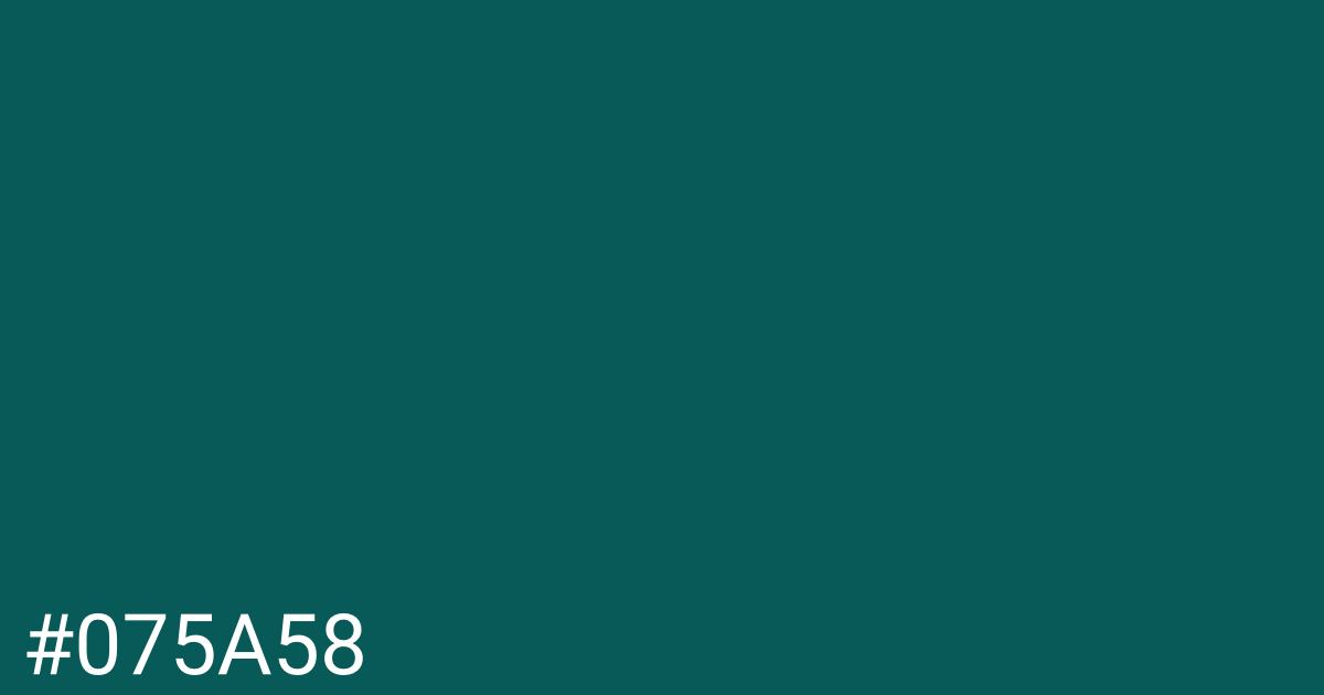 Hex color #075a58 graphic