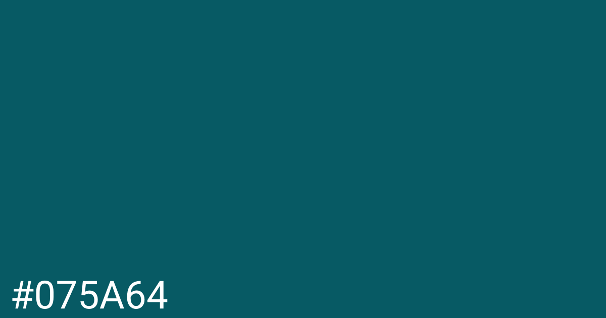 Hex color #075a64 graphic