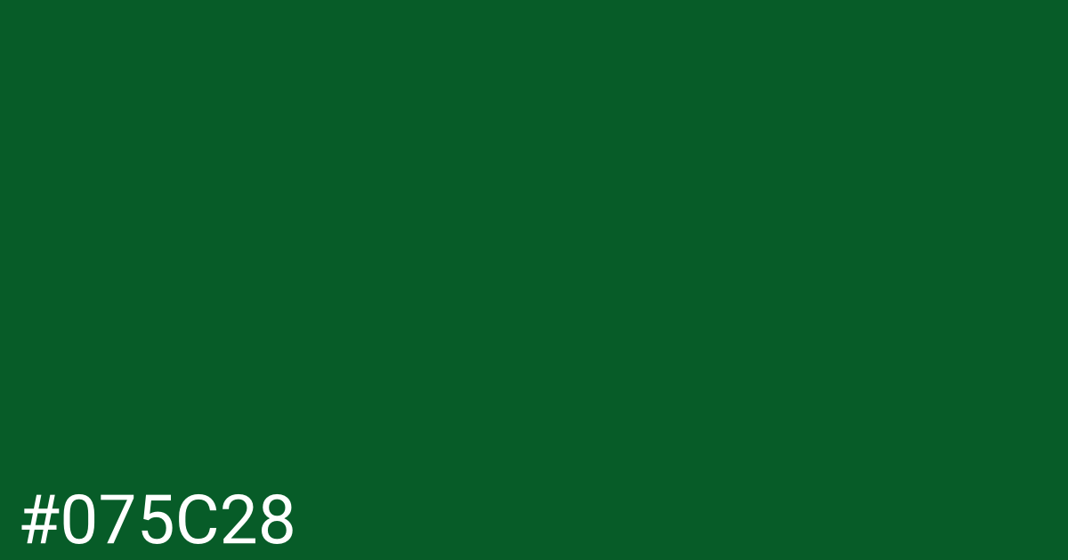 Hex color #075c28 graphic