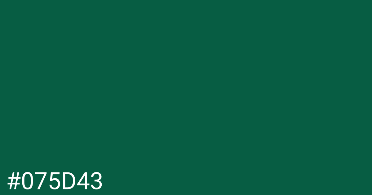 Hex color #075d43 graphic