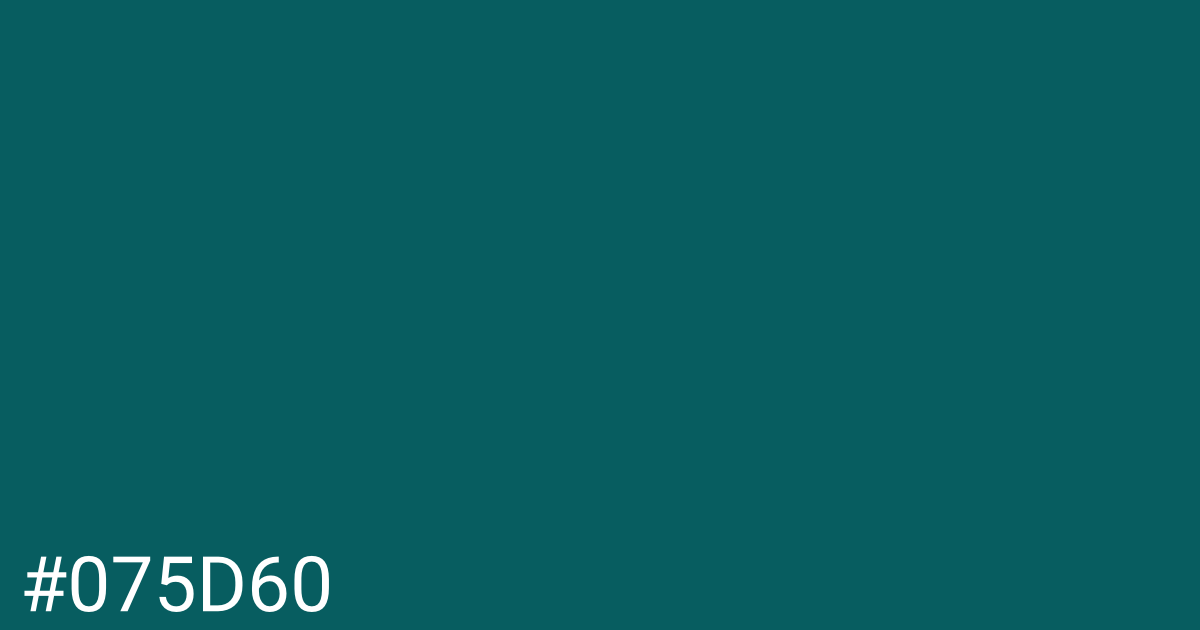 Hex color #075d60 graphic