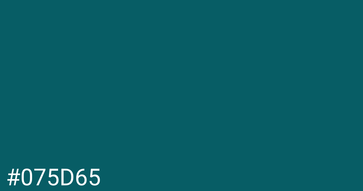 Hex color #075d65 graphic