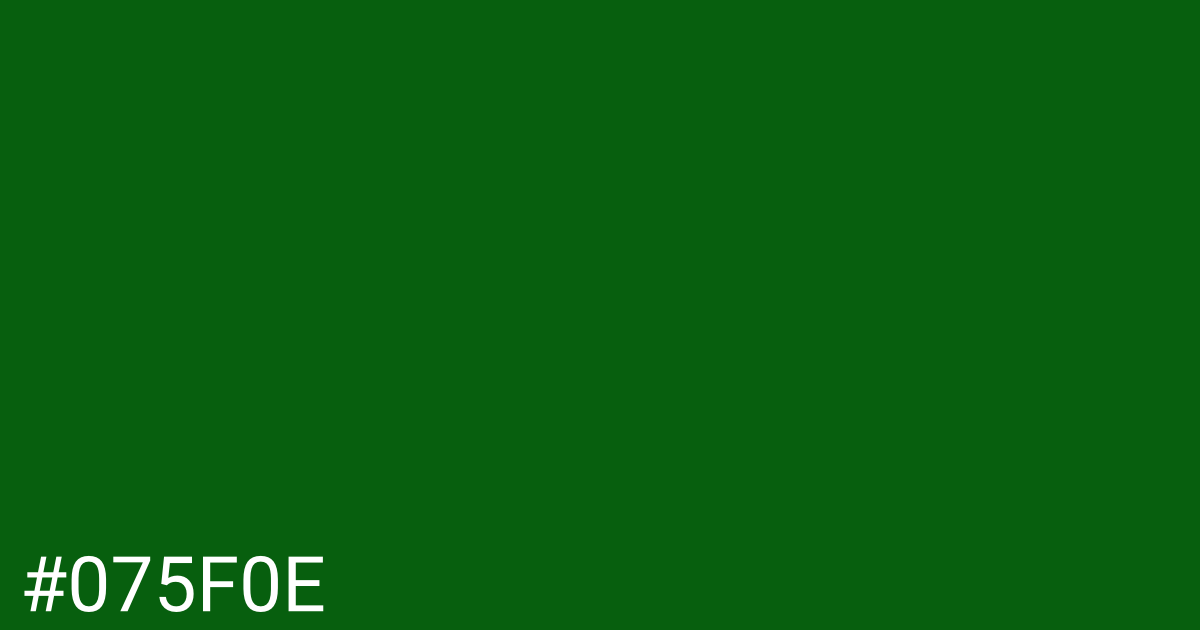 Hex color #075f0e graphic
