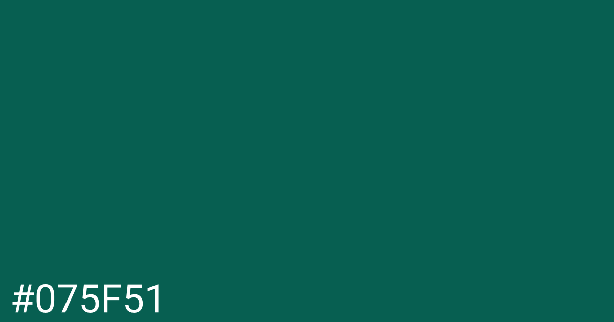 Hex color #075f51 graphic