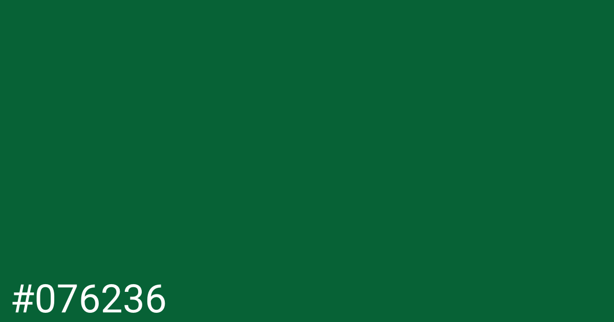Hex color #076236 graphic