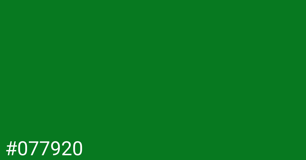Hex color #077920 graphic