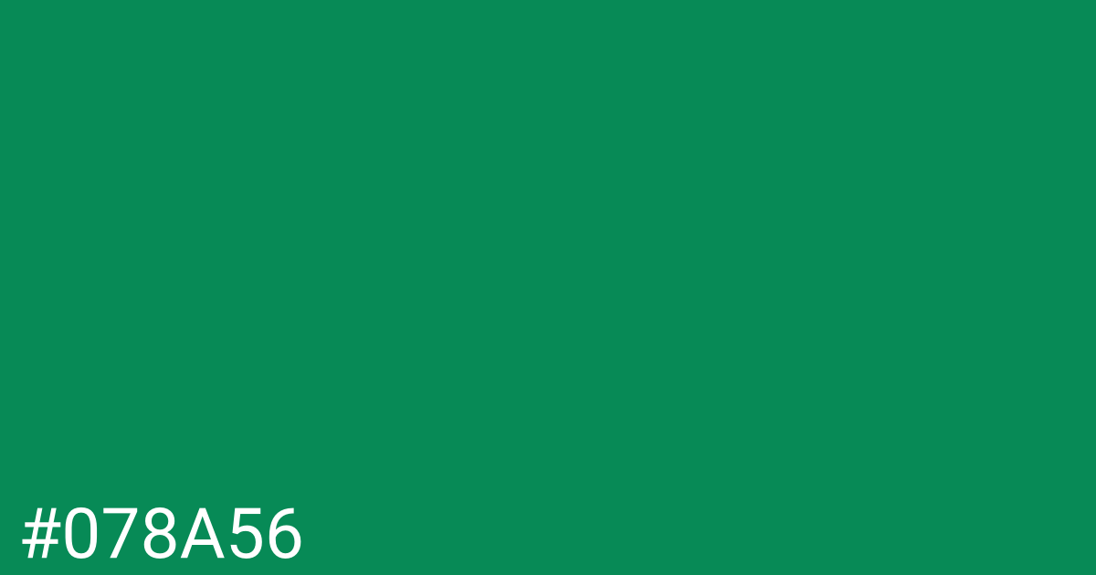 Hex color #078a56 graphic