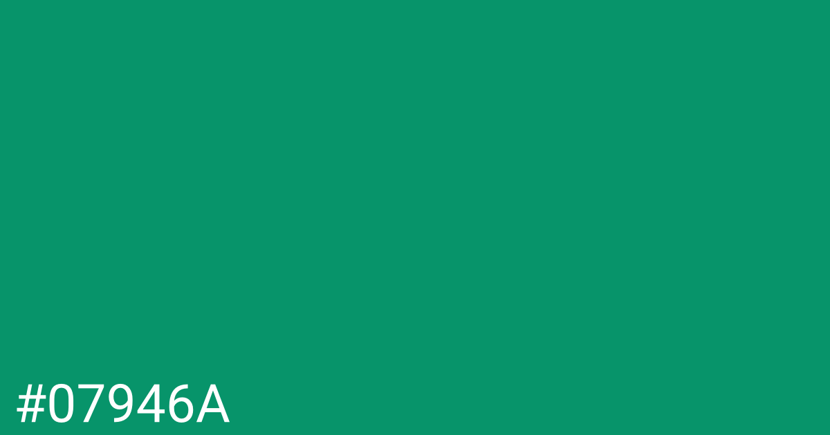 Hex color #07946a graphic
