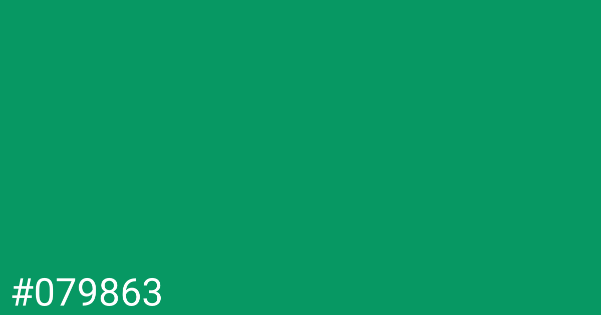 Hex color #079863 graphic